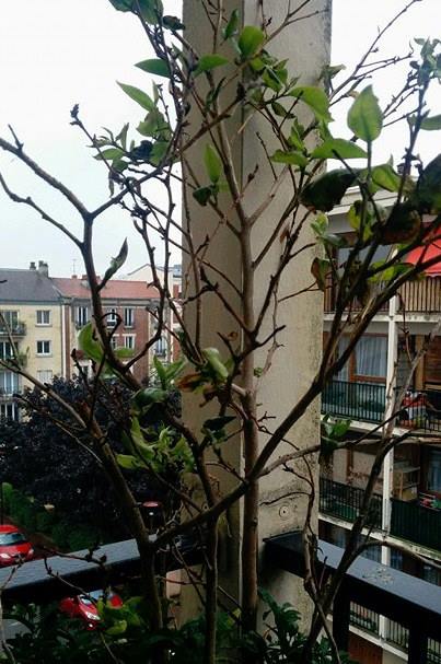 Phát triển trí thông minh nhưng đừng kích thích trẻ con quá mức